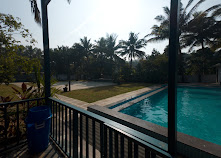 Lawn and swimming pool at Dove Nest